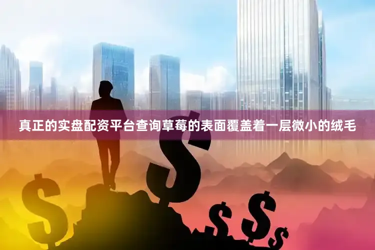 真正的实盘配资平台查询草莓的表面覆盖着一层微小的绒毛