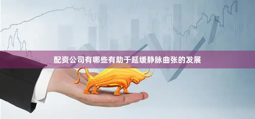 配资公司有哪些有助于延缓静脉曲张的发展