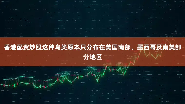 香港配资炒股这种鸟类原本只分布在美国南部、墨西哥及南美部分地区