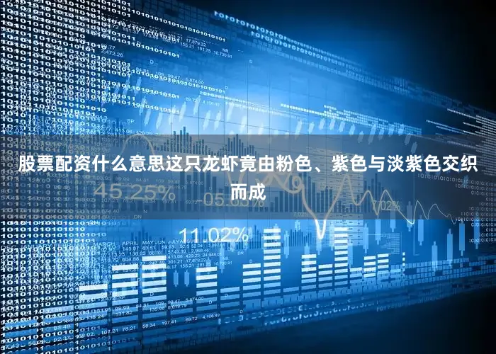 股票配资什么意思这只龙虾竟由粉色、紫色与淡紫色交织而成